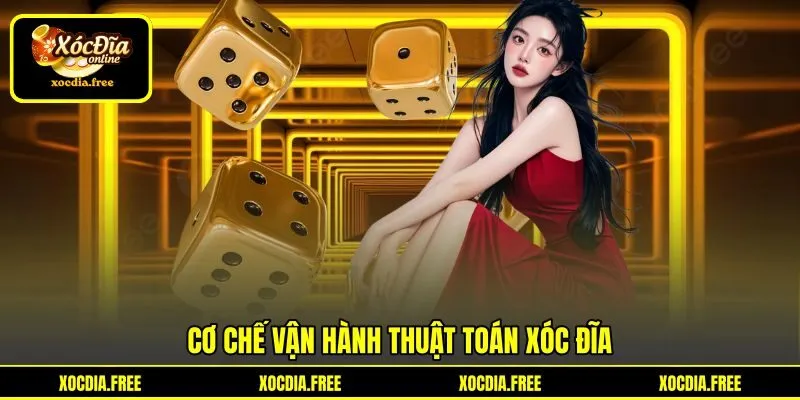 Cơ chế vận hành thuật toán xóc đĩa