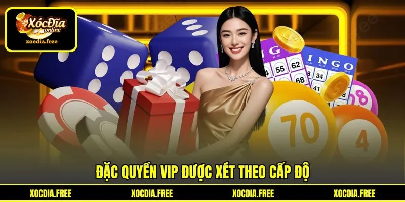 Đặc quyền VIP được xét theo cấp độ